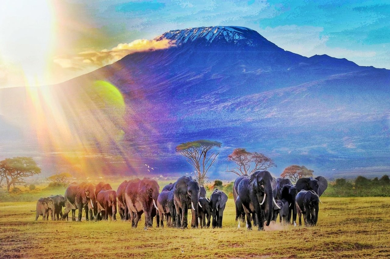 Amboseli, ceļojums uz keniju, тур в кению